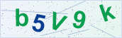 Security characters to type
